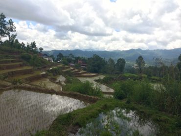 Trekking Tanah Toraja
