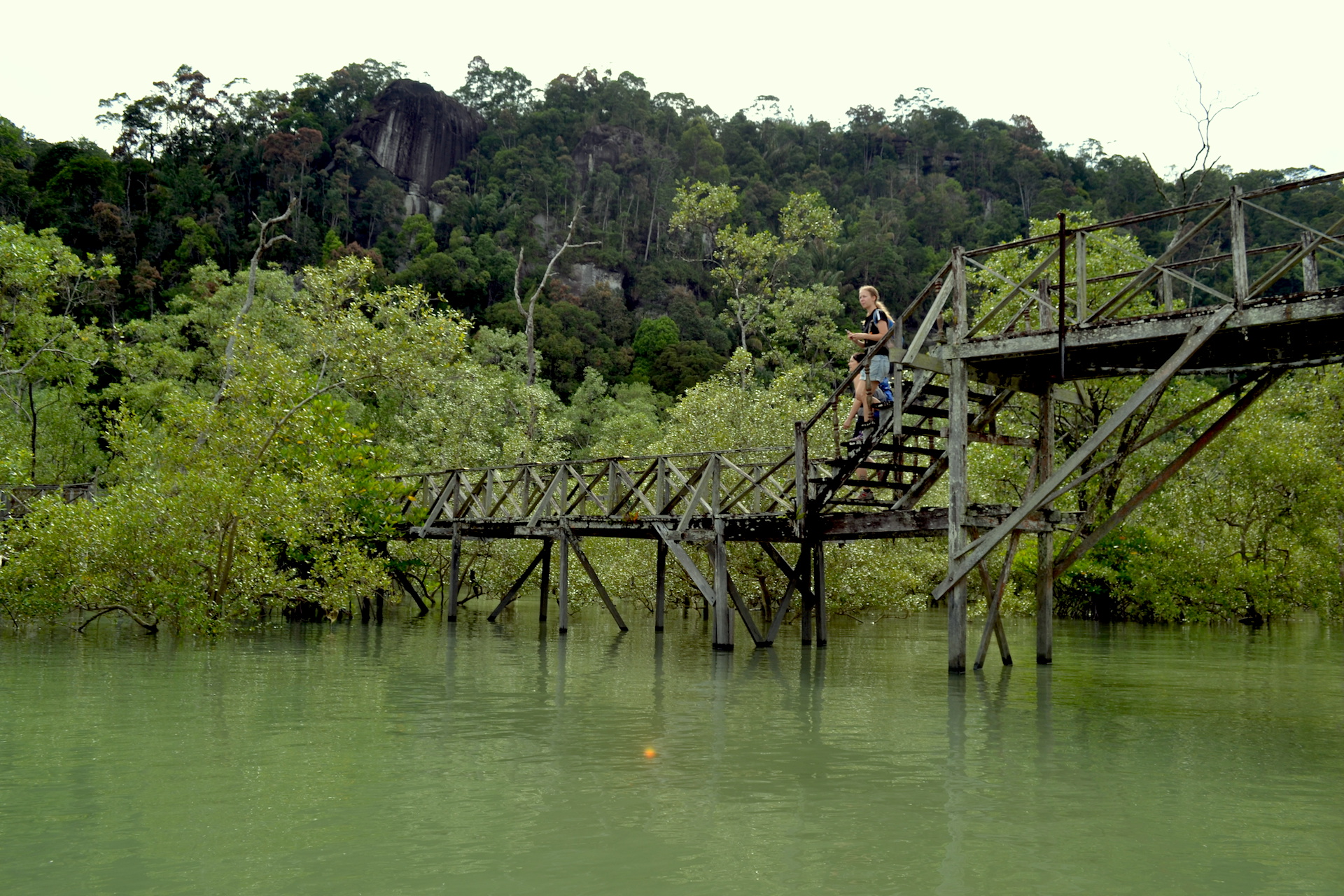 Bako Nationalpark auf Borneo