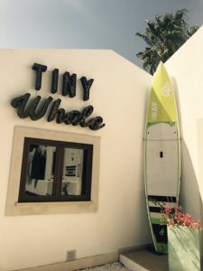 Tiny Whale Surf Lodge Lagos Portugal
