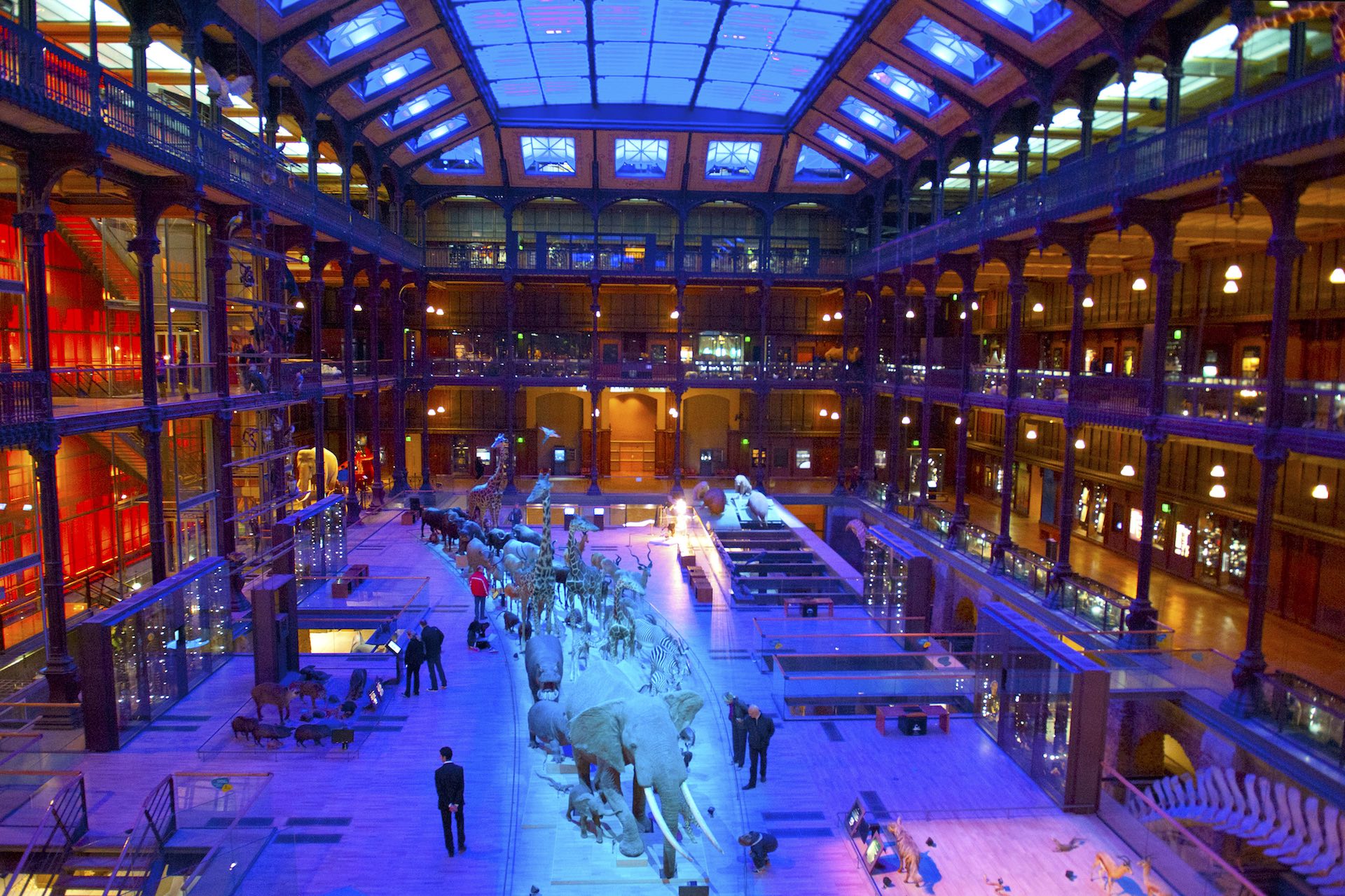 Paris Musee de l'Evolution