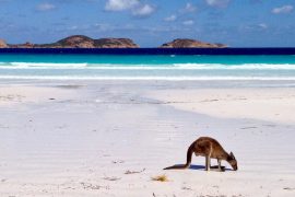 Australien Lucky Bay